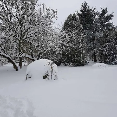 Gemuetliches Blockhaus Hébergement de vacances *