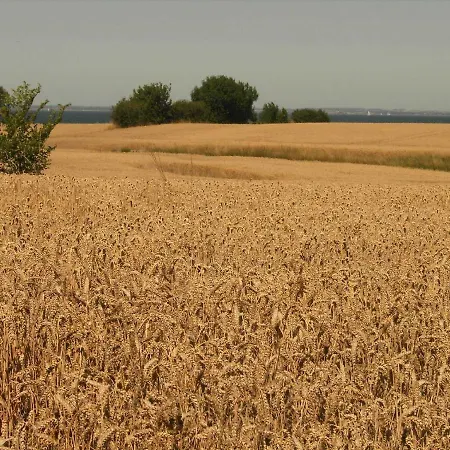 Gemuetliches Blockhaus Hébergement de vacances *